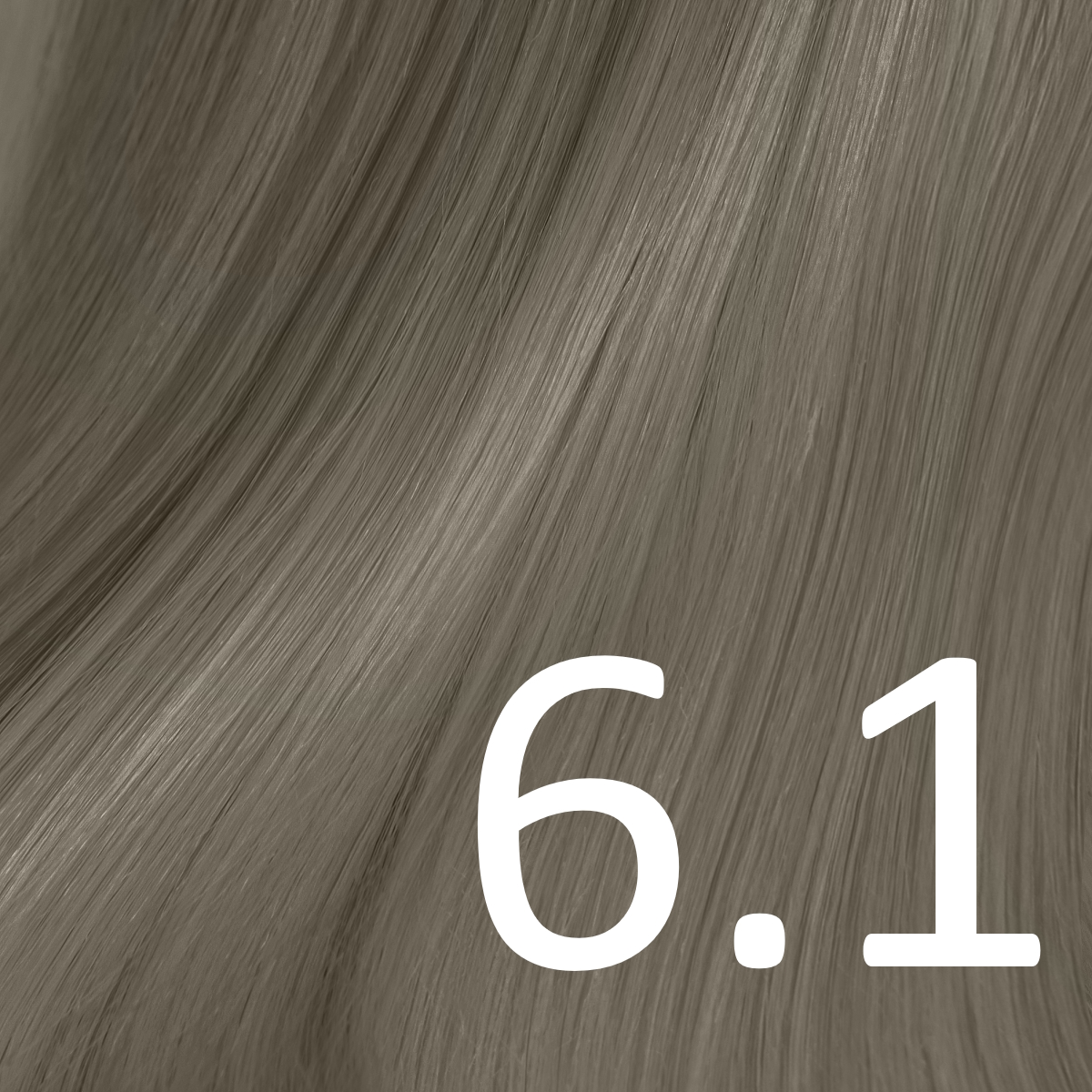 6.1  Dunkelblond Ash 